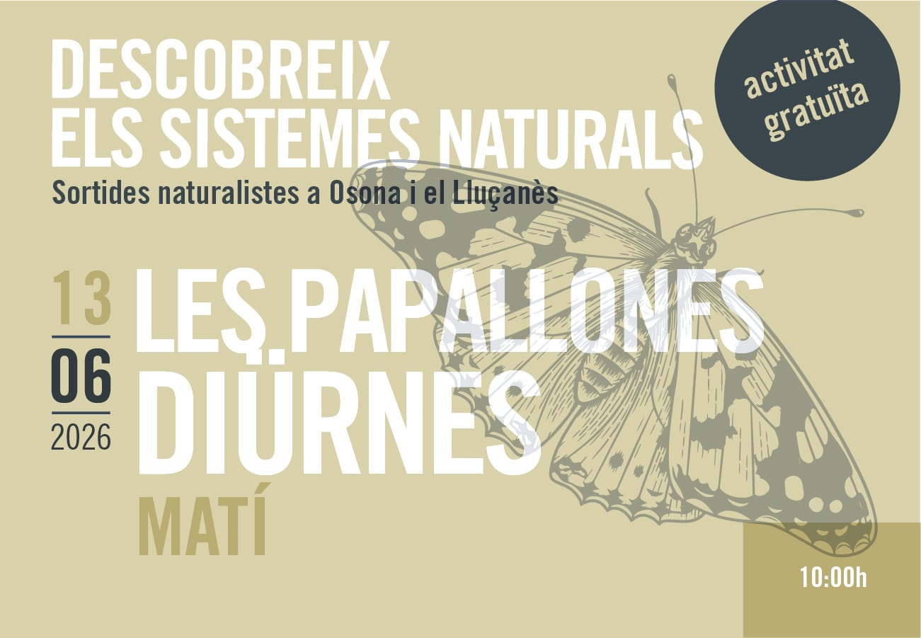 Sortides naturalistes a Osona i el Lluçanès. Les Papallones Diürnes.