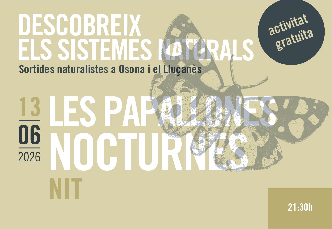 Sortides naturalistes a Osona i el Lluçanès. Les papallones nocturnes