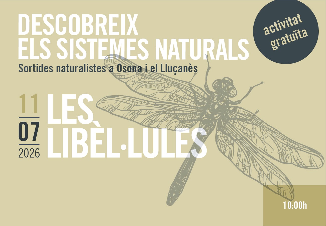 Sortides naturalistes a Osona i el Lluçanès. Les libèl·lules