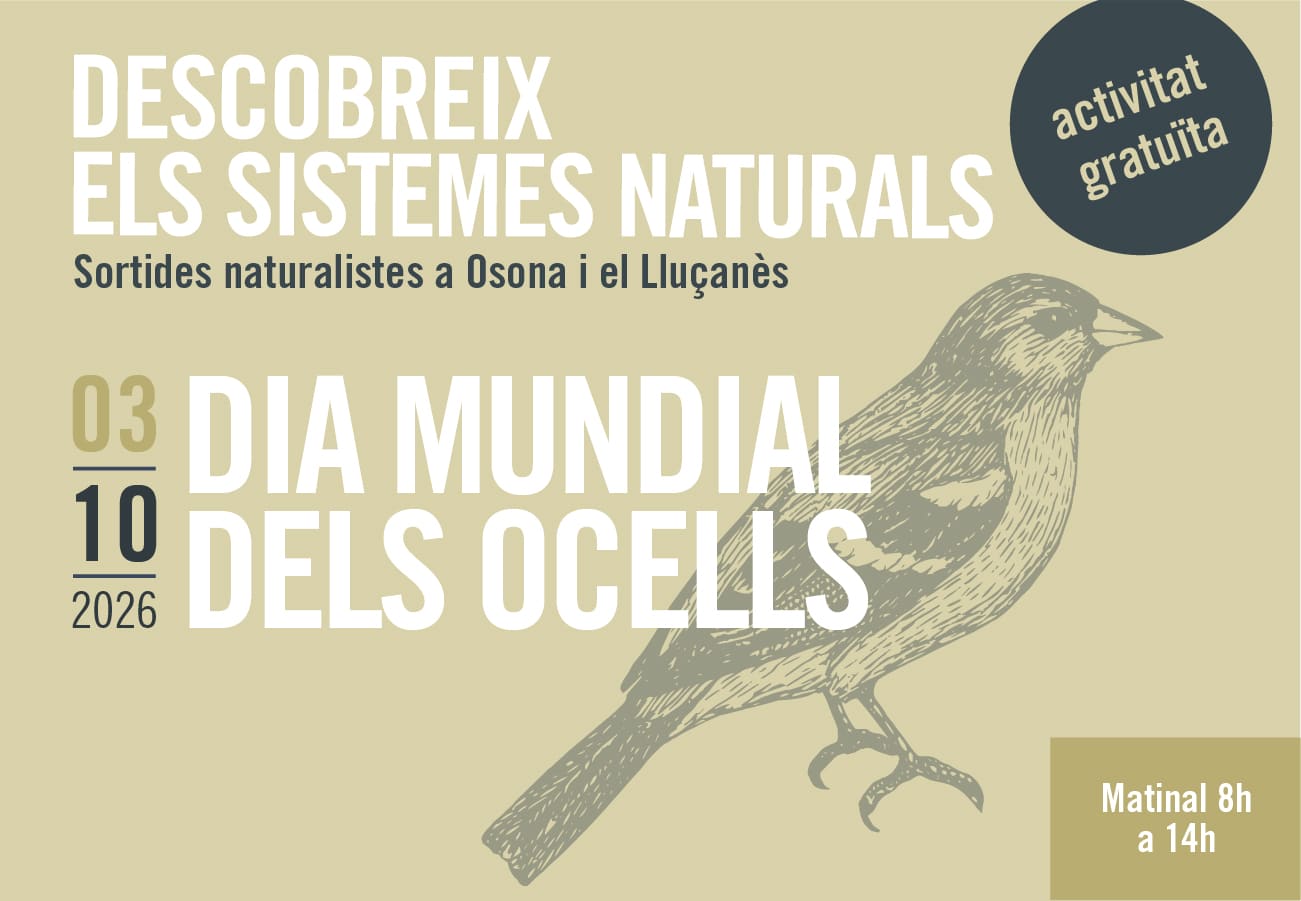 Sortides naturalistes a Osona i el Lluçanès. Dia Mundial dels Ocells
