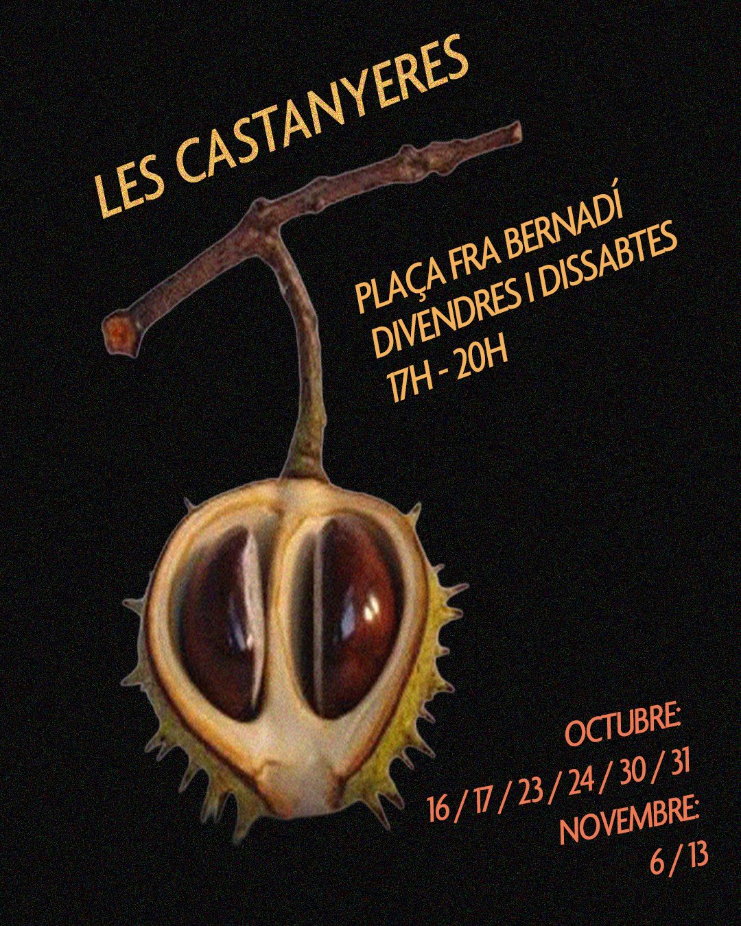 Les Castanyeres. Paradeta de castanyes i moniatos cuits amb llenya Les Castanyeres. Paradeta de castanyes i moniatos cuits amb llenya