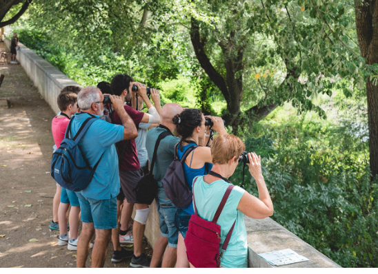 2n Diumenge a la vora del Ter: Observació d’ocells de riu