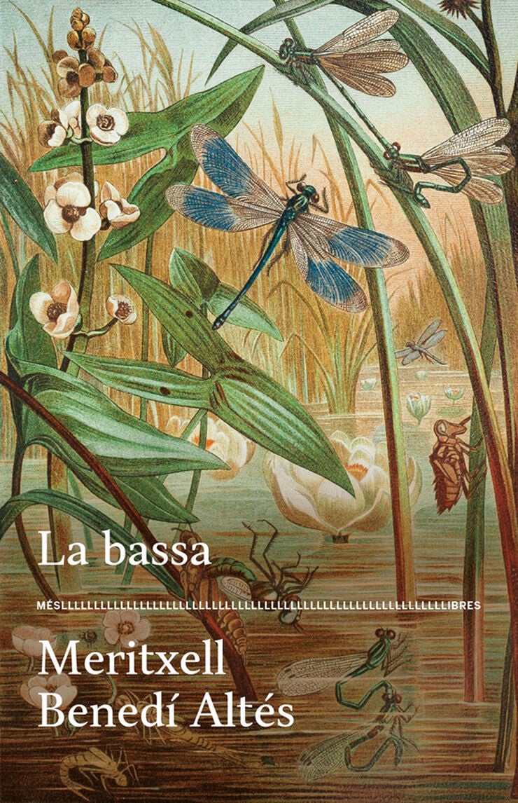 Presentació del llibre La bassa de Meritxell Benedí Altés