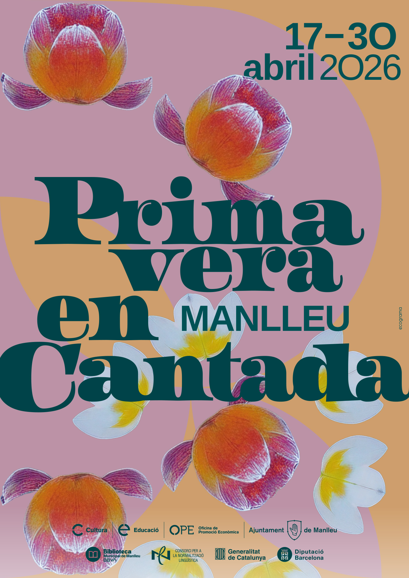 Diada de Sant Jordi. Activitats educatives. Concurs de dibuix de Sant Jordi: ‘DIBUIXA EL QUE VEUS’.