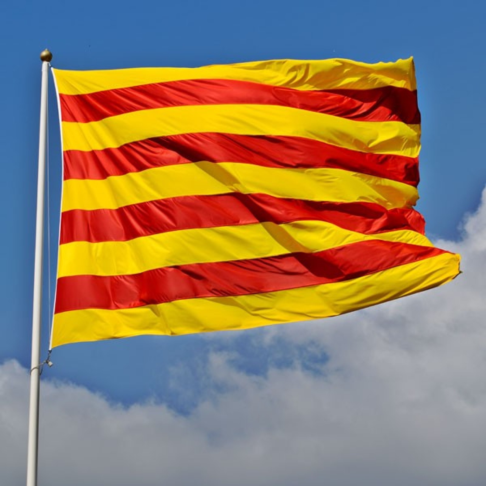 Imatge il·lustrativa