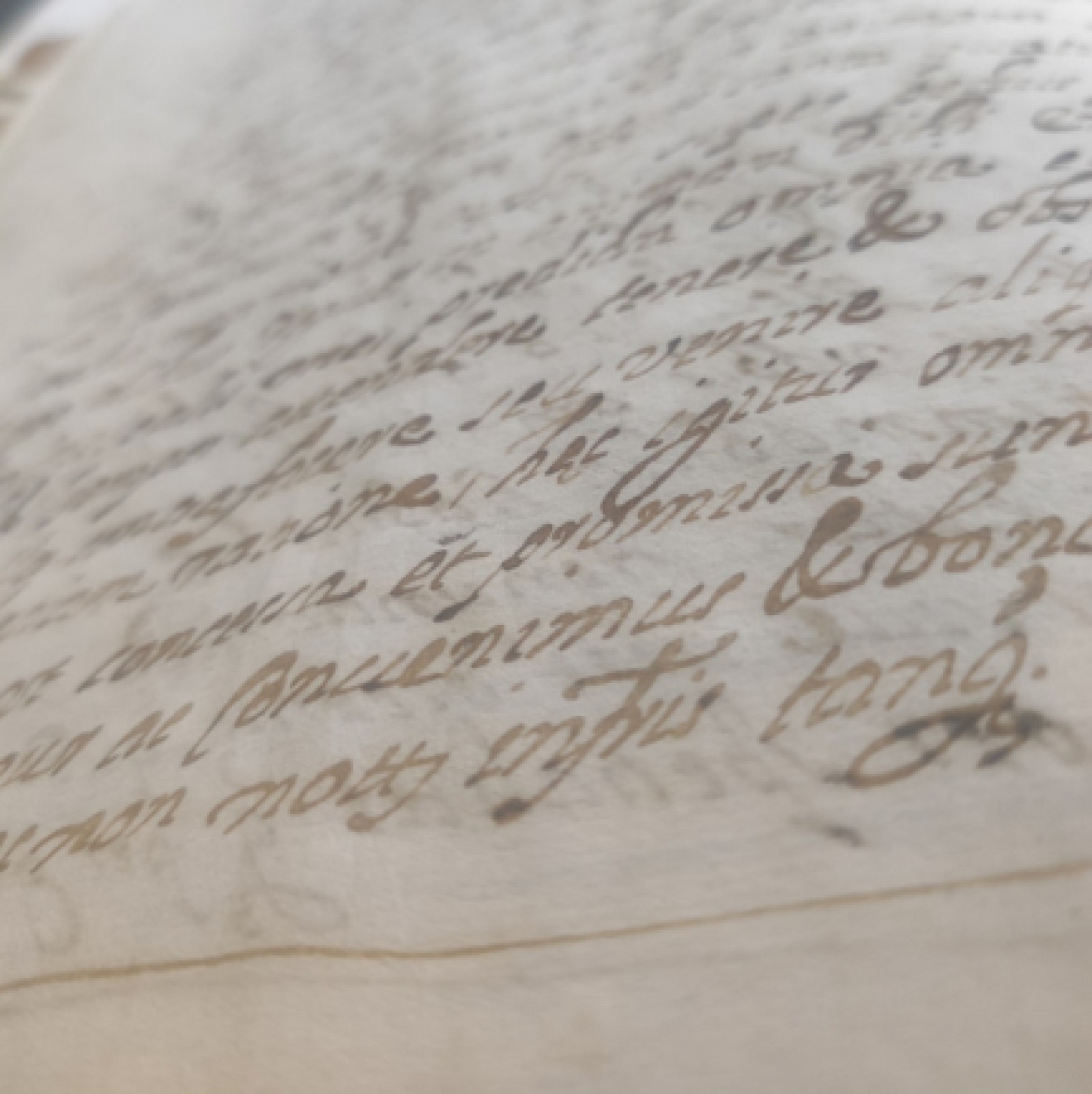 Nous documents digitalitzats a l'Arxiu Municipal