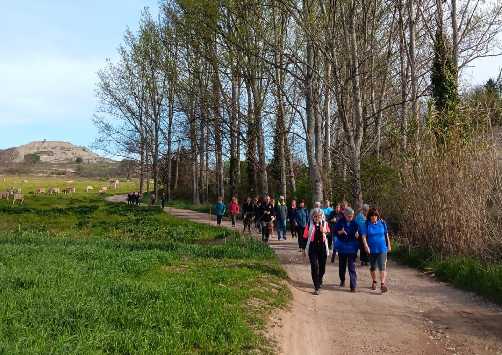 Imatge il·lustrativa