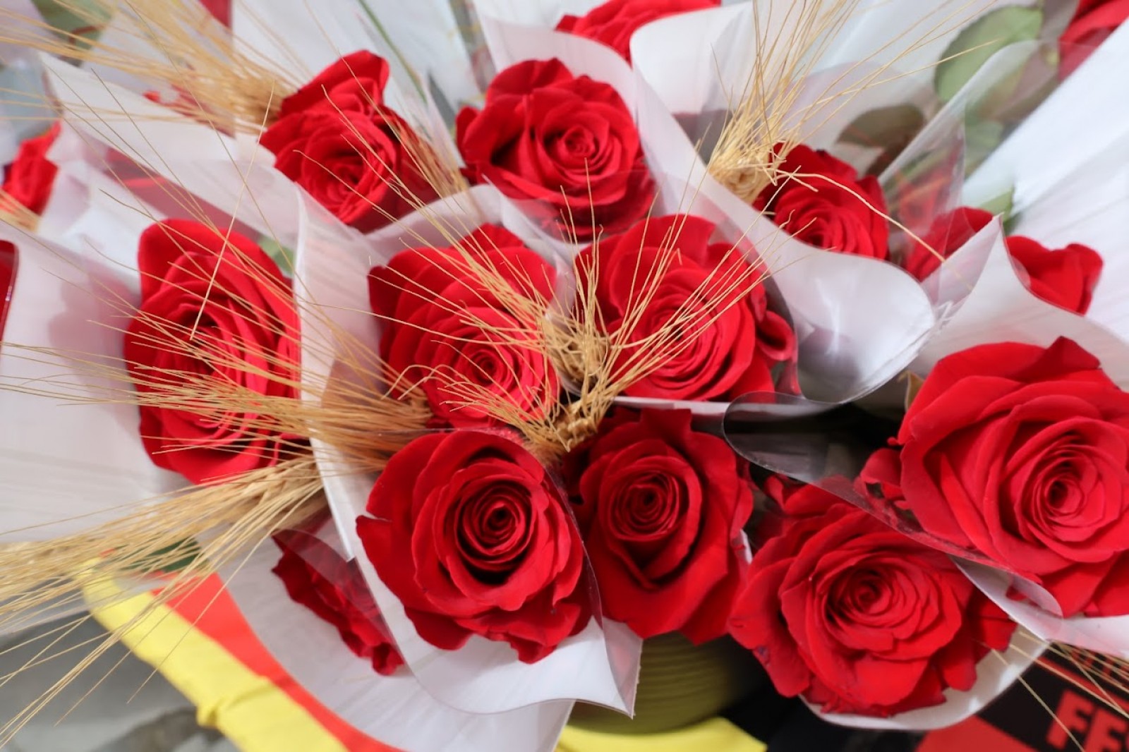 El dia del llibre i la rosa