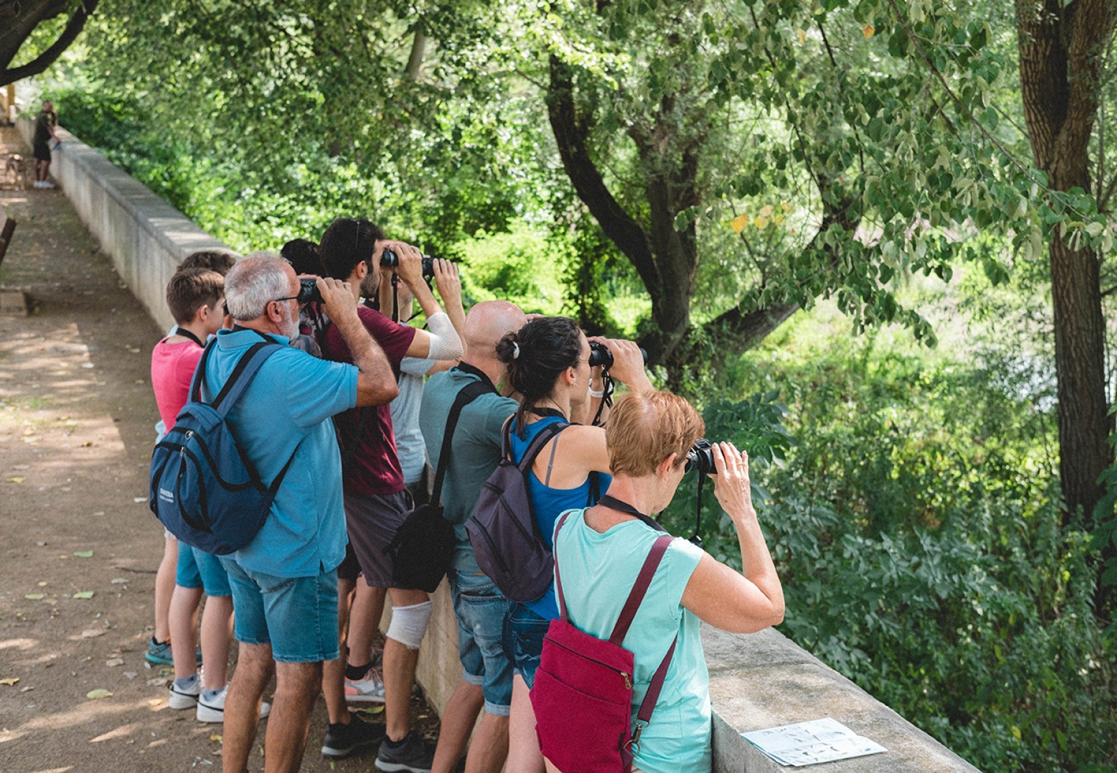 Diumenge, observació d'ocells amb el Museu del Ter