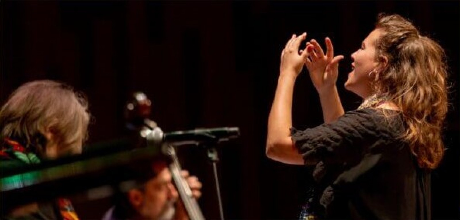 La sessió anirà a càrrec de Carme Nalini 