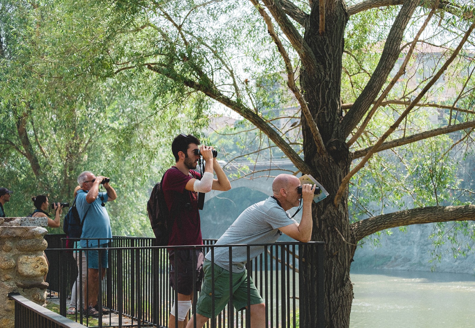 Una de les activitats per aquest cap de setmana