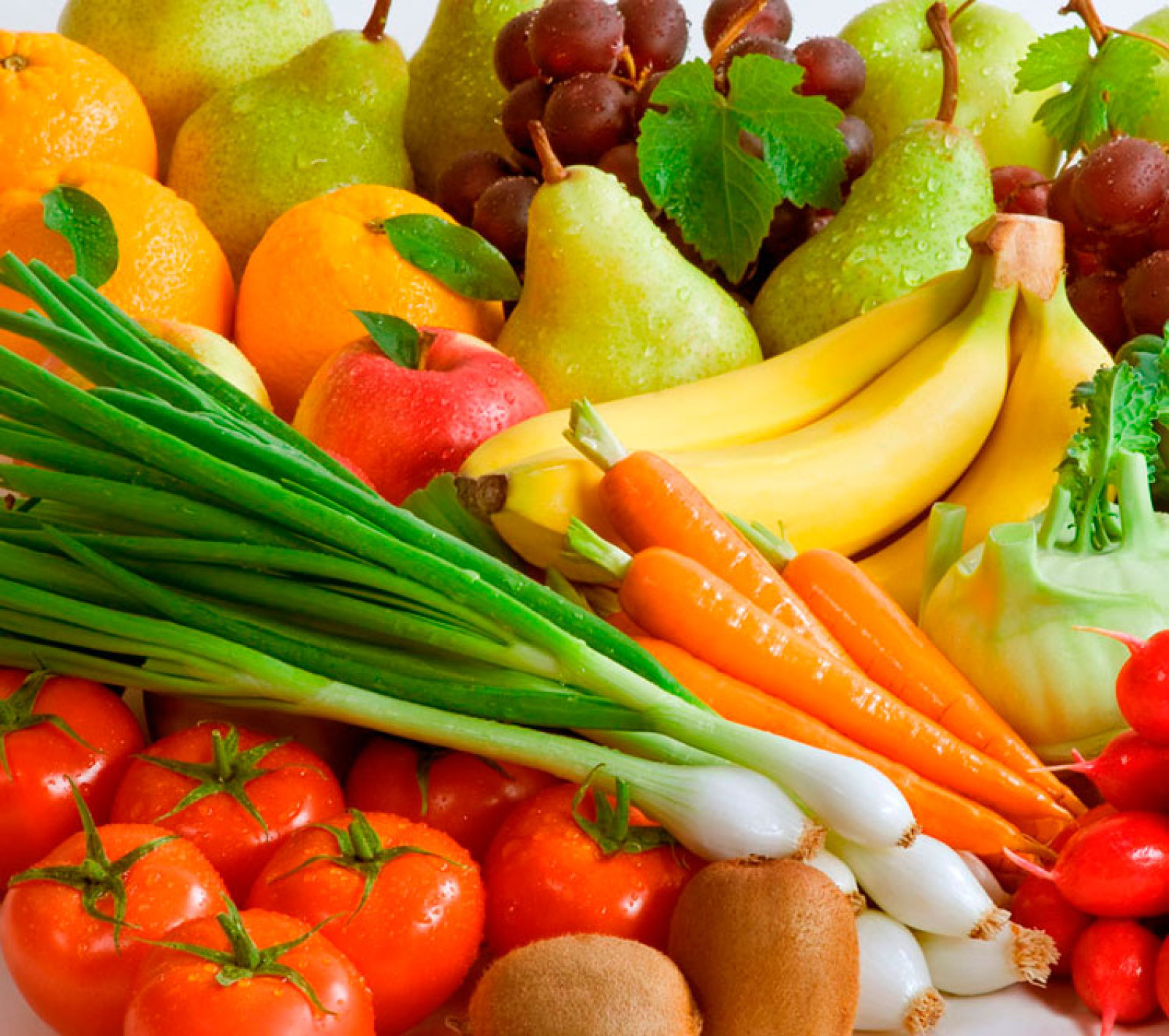 L'activitat s'adreça a nens i nenes de 5 anys i es fa en horari escolar