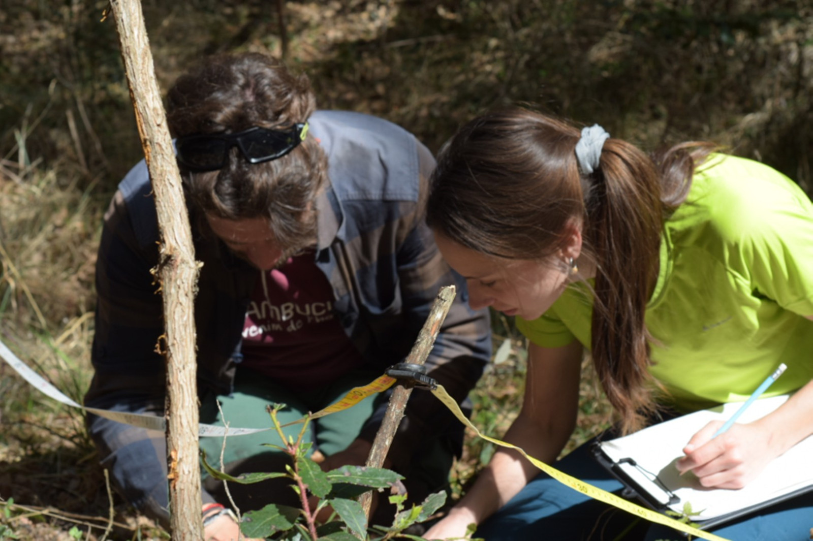 El programa pilot treballa per recuperar el bosc com a font d'aliment