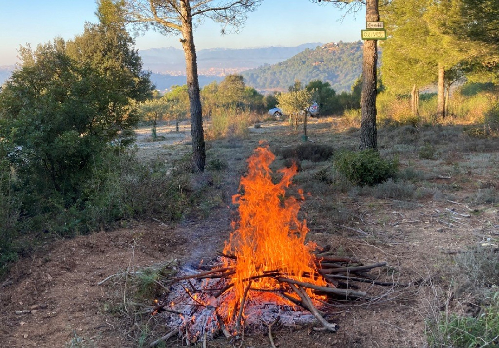 La mesura té efecte immediat i s’allargarà fins al 31 de desembre