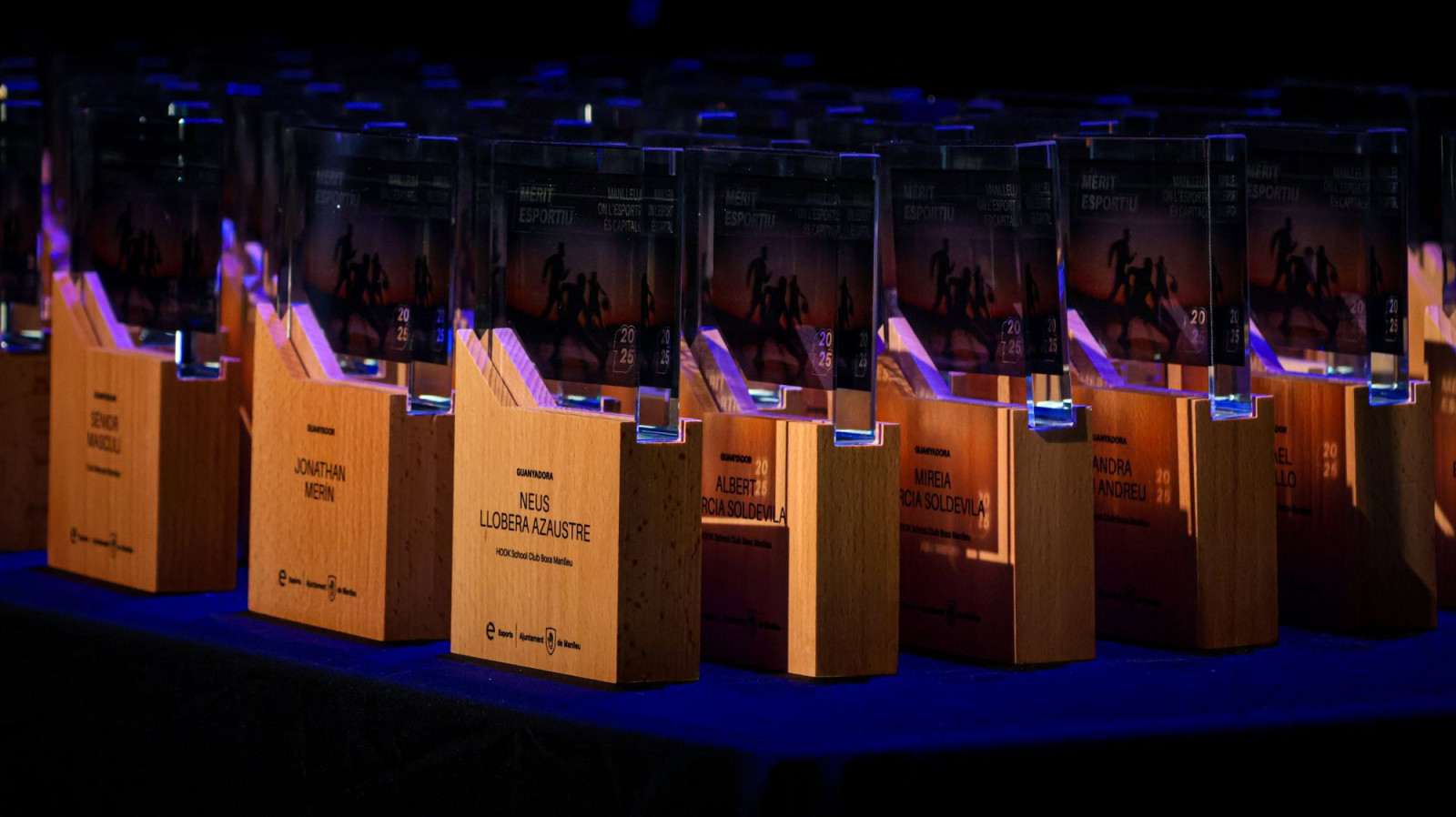 Imatge il·lustrativa