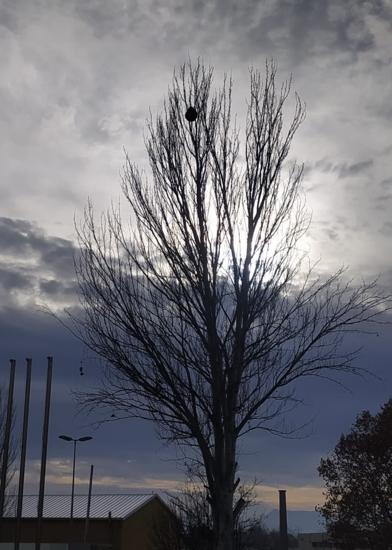 Imatge il·lustrativa