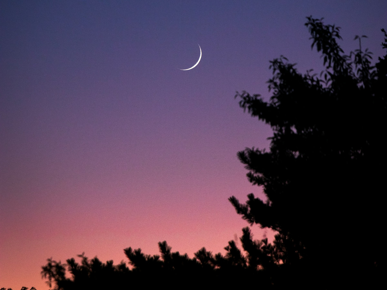 Durant el Ramadà es realitza el dejuni ritual