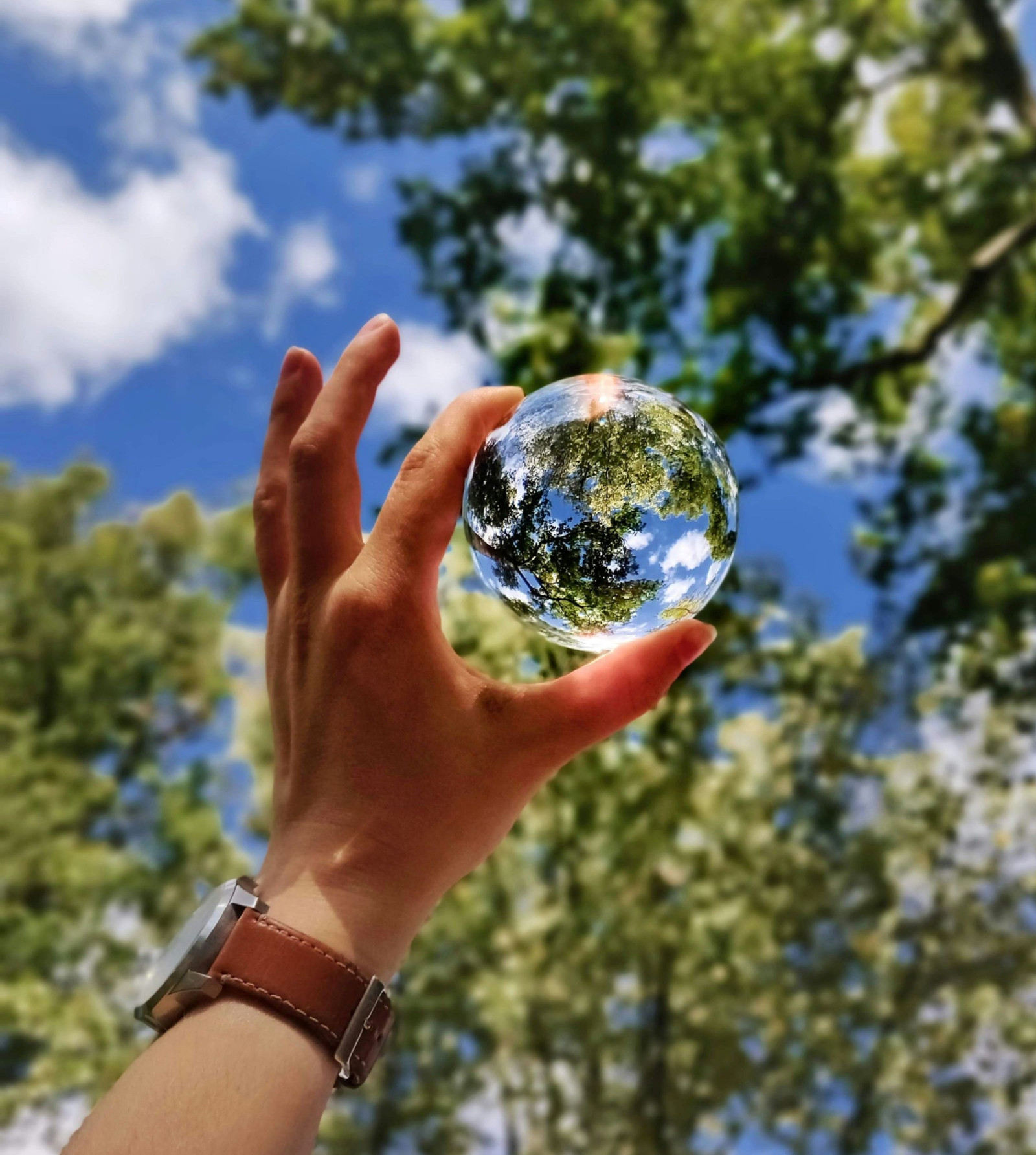 Una iniciativa impulsada el 2007 per conscienciar sobre el canvi climàtic 