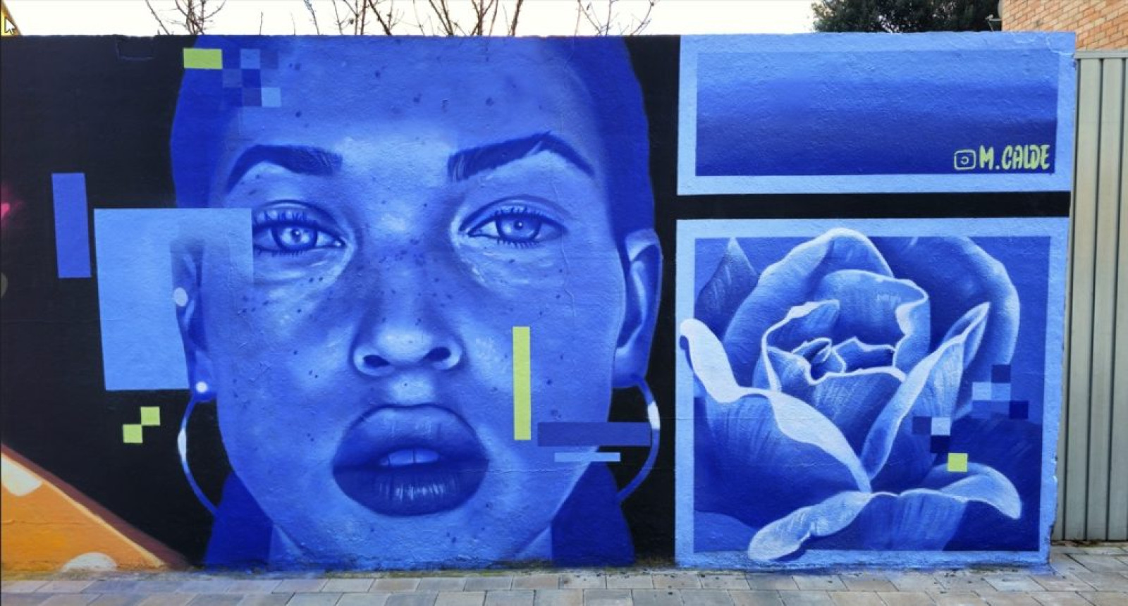 Un dels darrers treballs de l'artista torellenc amb el blau com a protagonista