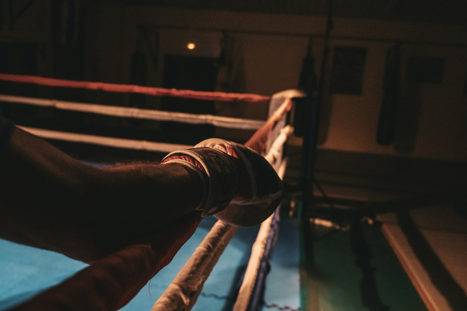 L'esdeveniment vol esdevenir un punt de trobada entre esportistes, clubs, famílies i aficionats al kick-boxing i al K1